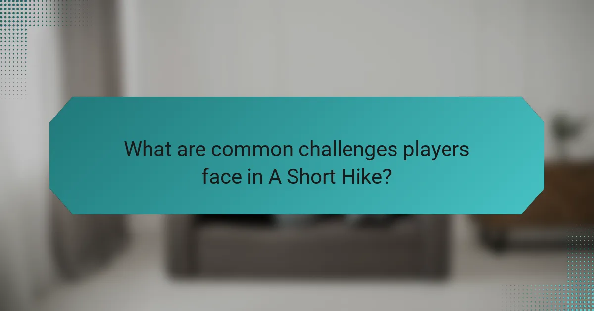 What are common challenges players face in A Short Hike?